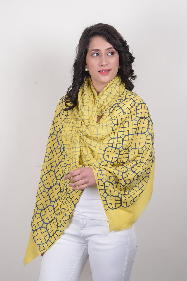 Shimmering Squircle Embroidered Fine Merino Stole